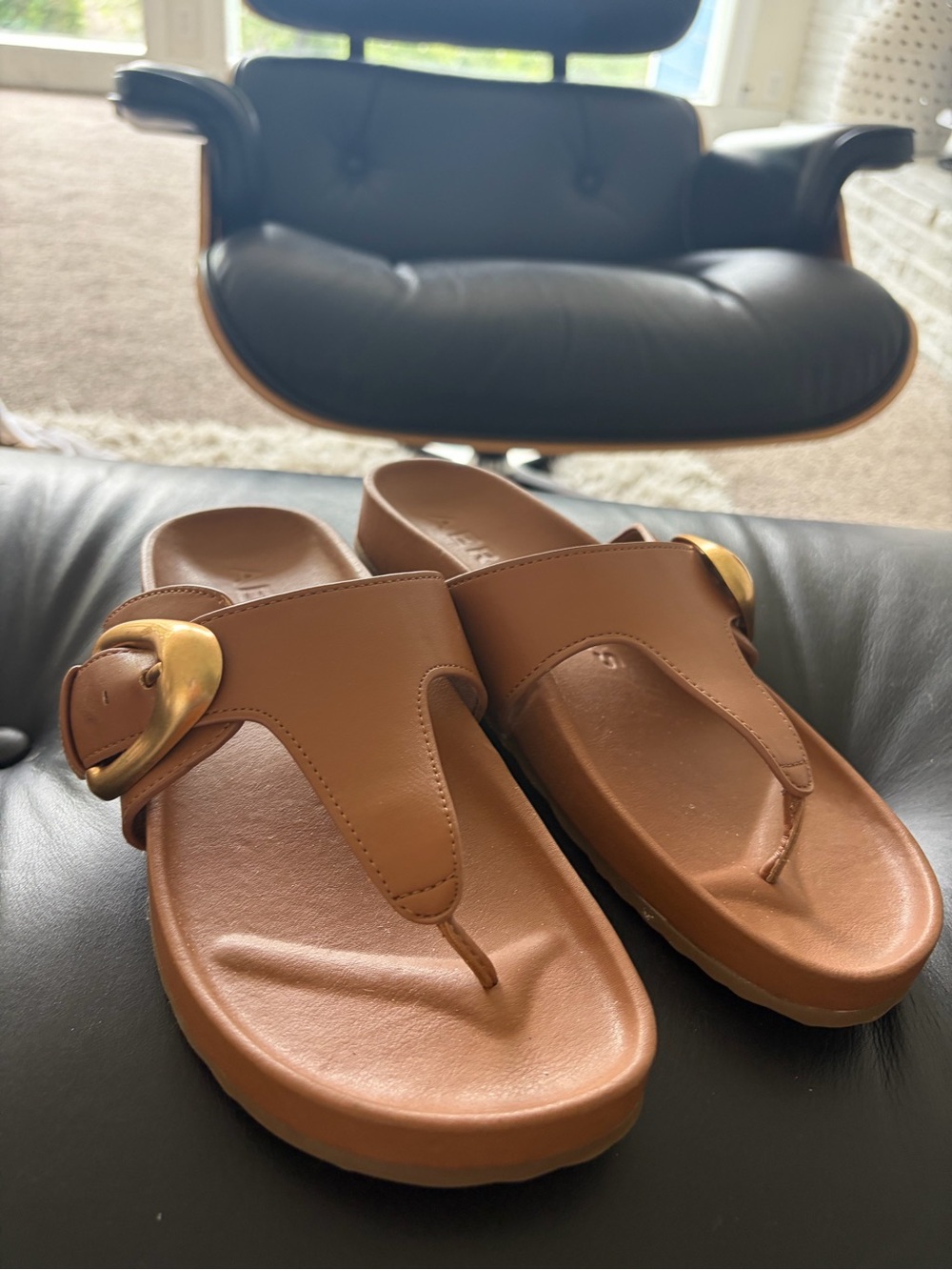 Brown  Toe-Post Sandals with Gold Buckle